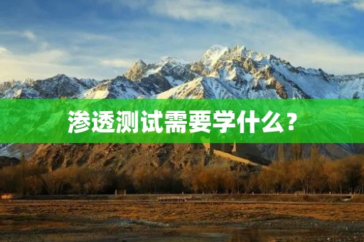 渗透测试需要学什么?