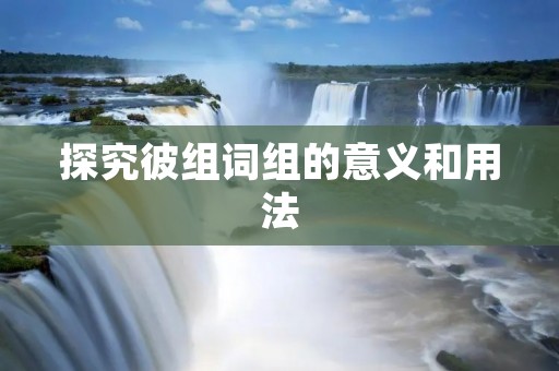 探究彼组词组的意义和用法
