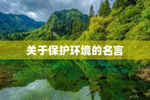 关于保护环境的名言