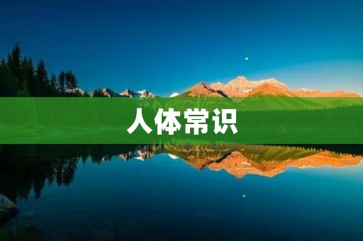 人体常识：你知道人体骨骼有多少块吗？
