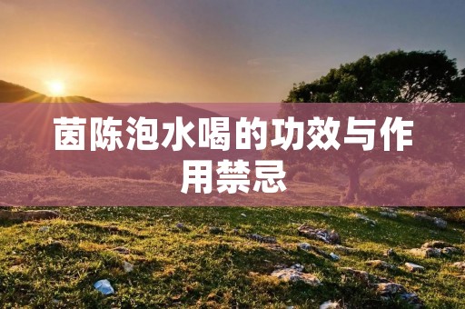 茵陈泡水喝的功效与作用禁忌