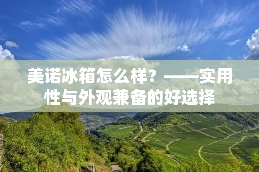 美诺冰箱怎么样？——实用性与外观兼备的好选择