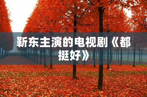 靳东主演的电视剧《都挺好》