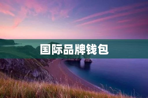 国际品牌钱包：高品质与时尚的完美结合