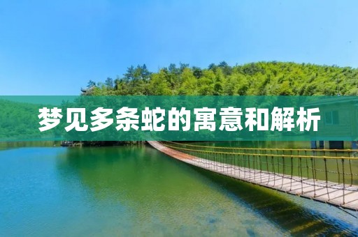 梦见多条蛇的寓意和解析