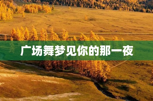 广场舞梦见你的那一夜:跳出心中的思念