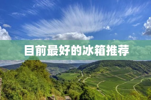 目前最好的冰箱推荐：LG纤薄变频冰箱