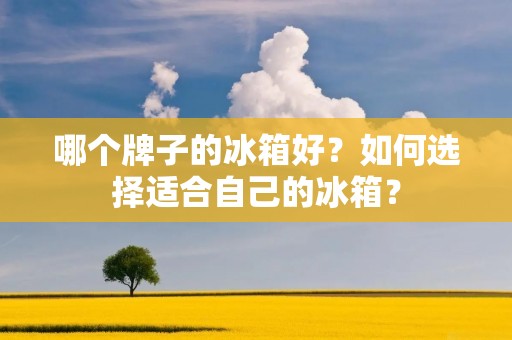 哪个牌子的冰箱好？如何选择适合自己的冰箱？