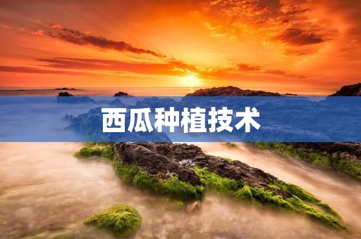 西瓜种植技术：如何种出甜美可口的西瓜