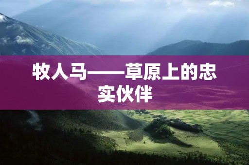 牧人马——草原上的忠实伙伴