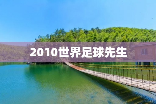 2010世界足球先生:梅西荣膺个人最高荣誉 2010世界足球先生:梅西荣膺个人最高荣誉