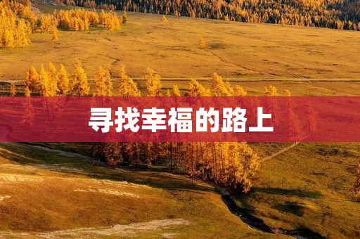 寻找幸福的路上