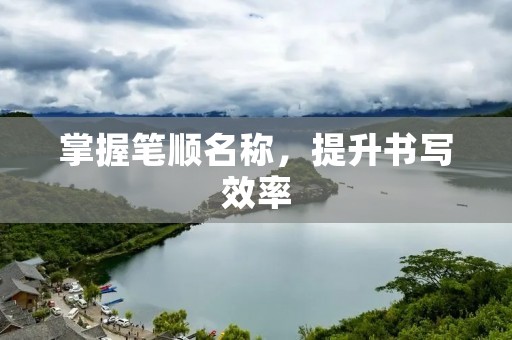 掌握笔顺名称,提升书写效率 掌握笔顺名称,提升书写效率