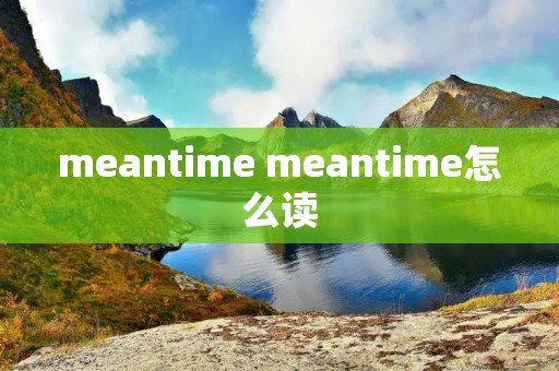 meantime meantime怎么读