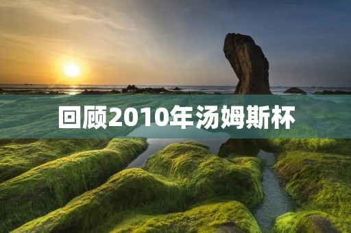 回顾2010年汤姆斯杯：中国男团再夺冠