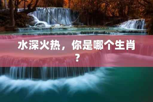 水深火热,你是哪个生肖?