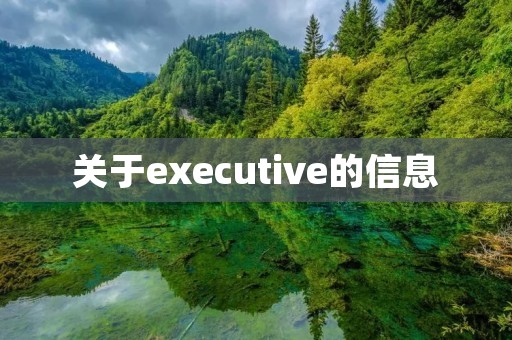 关于executive的信息 关于executive的信息