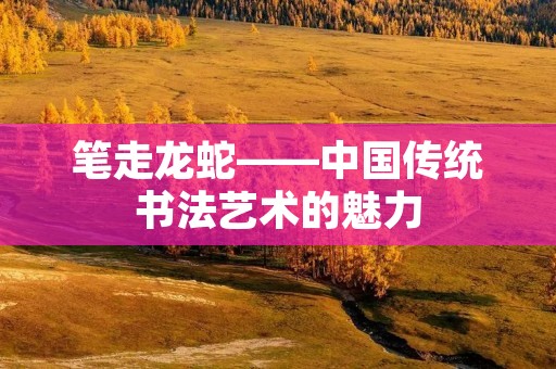 笔走龙蛇——中国传统书法艺术的魅力