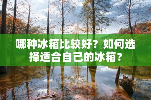 哪种冰箱比较好？如何选择适合自己的冰箱？