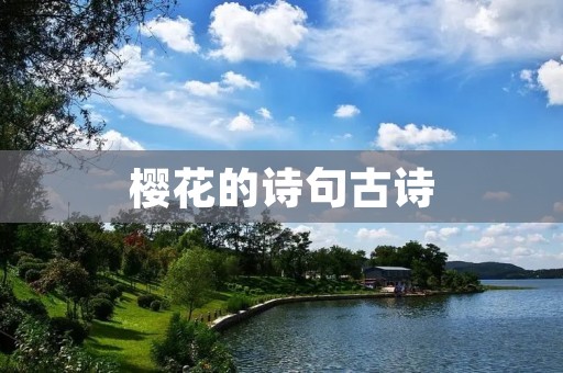 樱花的诗句古诗