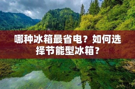 哪种冰箱最省电？如何选择节能型冰箱？