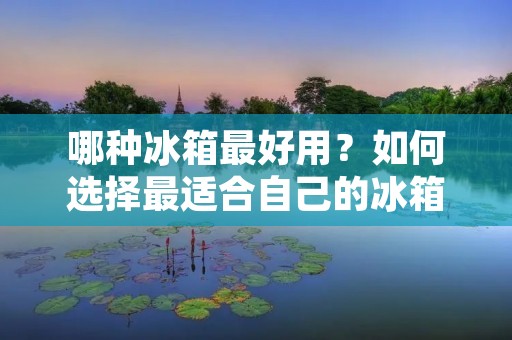哪种冰箱最好用？如何选择最适合自己的冰箱？