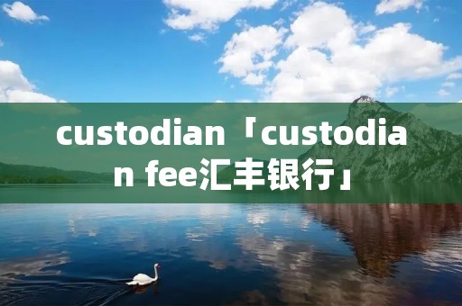 custodian「custodian fee汇丰**」
