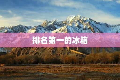 排名第一的冰箱：如何选择最适合自己的冰箱？