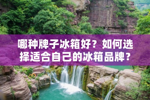 哪种牌子冰箱好？如何选择适合自己的冰箱品牌？