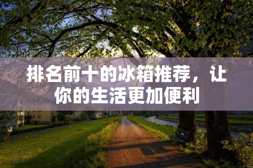 排名前十的冰箱推荐，让你的生活更加便利
