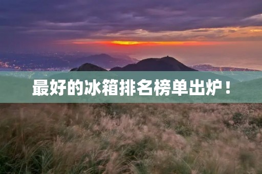 最好的冰箱排名榜单出炉！