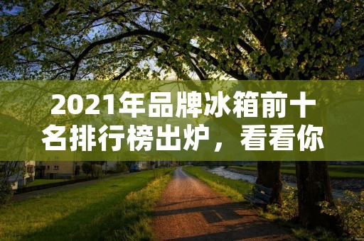 2021年品牌冰箱前十名排行榜出炉，看看你家的冰箱上榜了吗？