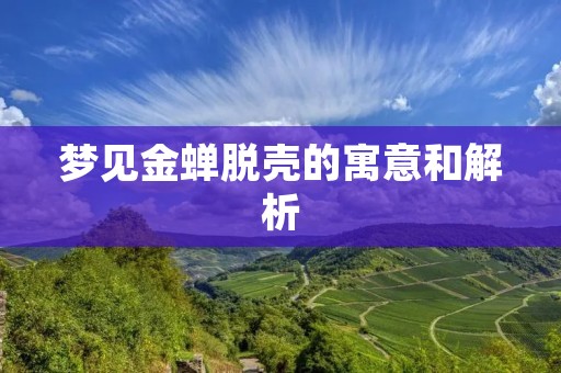 梦见金蝉脱壳的寓意和解析