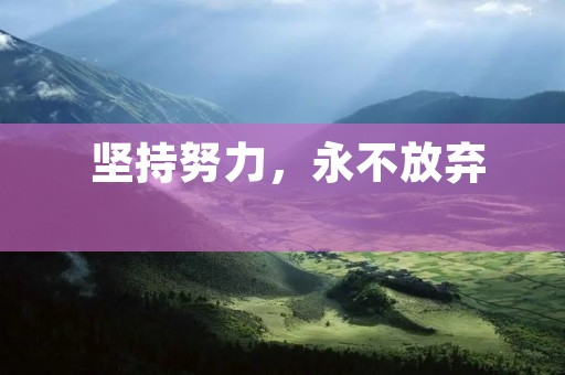 坚持努力,永不放弃