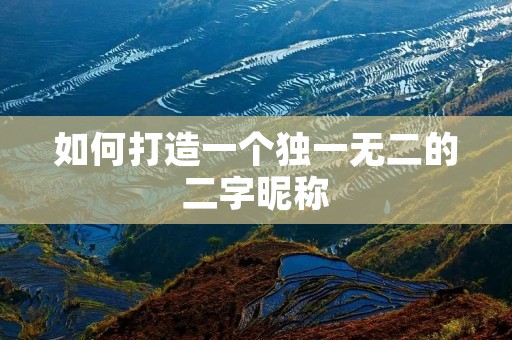 如何打造一个独一无二的二字昵称