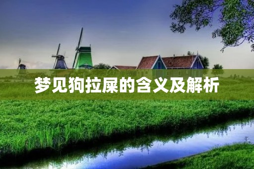 梦见狗拉屎的含义及解析