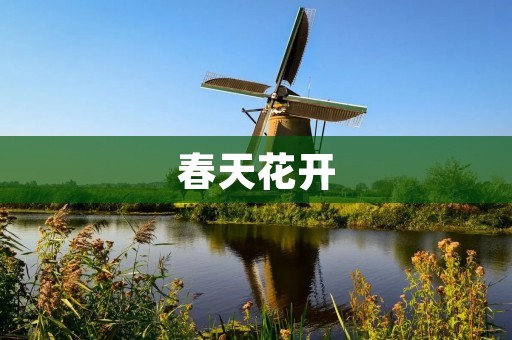 春天花开