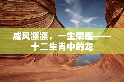 威风凛凛，一生荣耀——十二生肖中的龙