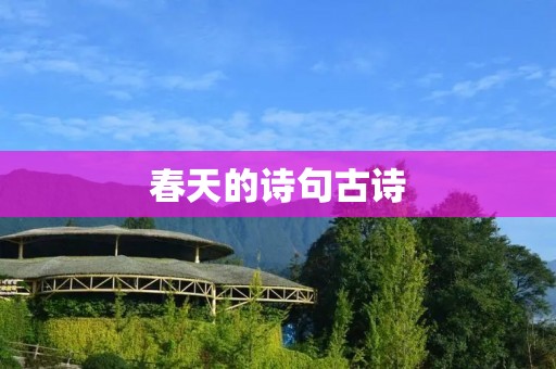 春天的诗句古诗