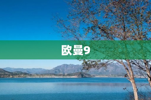 欧曼9：高效节能的新一代商用车