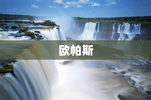 欧帕斯：一款领先的在线音乐平台