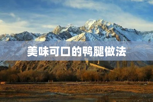 美味可口的鸭腿做法