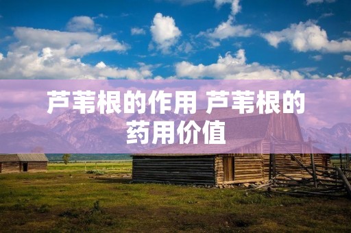 芦苇根的作用 芦苇根的药用价值