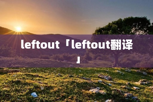 leftout「leftout翻译」