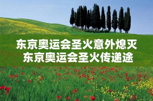 东京奥运会圣火意外熄灭 东京奥运会圣火传递途中意外熄灭