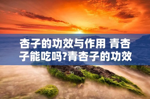 杏子的功效与作用 青杏子能吃吗?青杏子的功效与作用