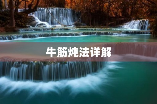 牛筋炖法详解:做法大全,口感妙不可言 牛筋炖法详解:做法大全,口感妙不可言