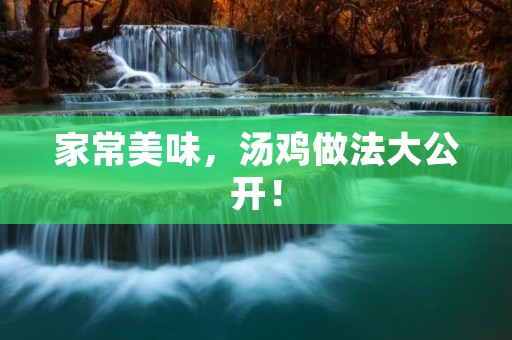 家常美味,汤鸡做法大公开! 家常美味,汤鸡做法大公开!