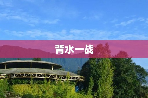 背水一战:在绝境中逆袭的故事 背水一战:在绝境中逆袭的故事