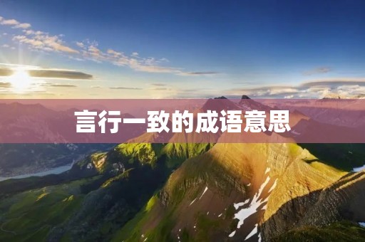 言行一致的成语意思